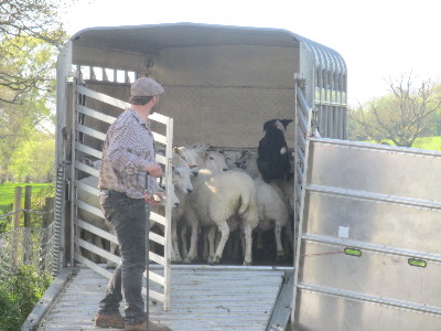 Simon Mogford's Penlanlwyd Tango goes over the top to get them off